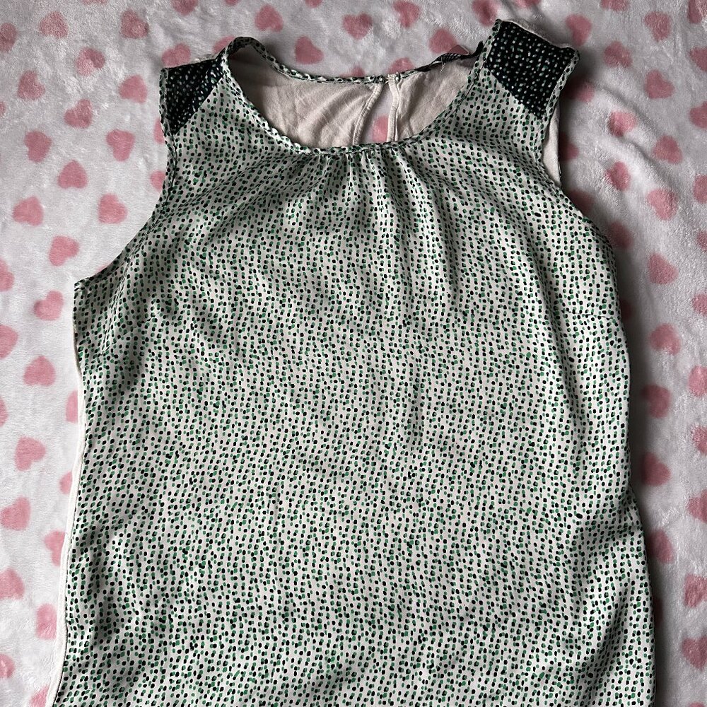 The Limited Shirt